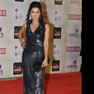 Celebs at 18th Annual Colors Screen Awards